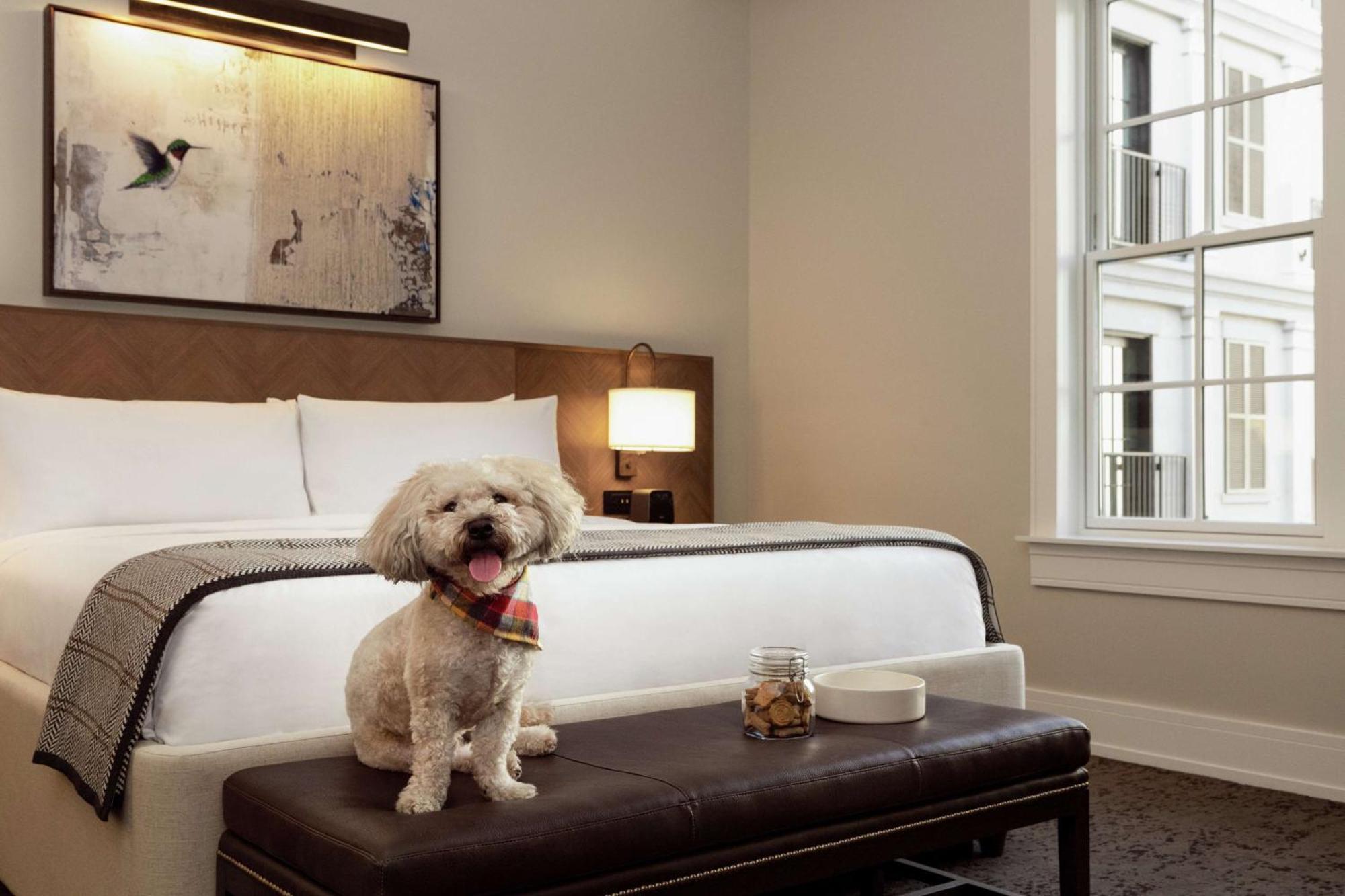 The Harpeth Franklin Downtown, Curio Collection By Hilton Hotel Exterior photo